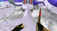 CS 1.6 with servers