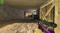 CS 1.6 by R1NCH